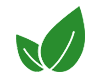 Kratom Market